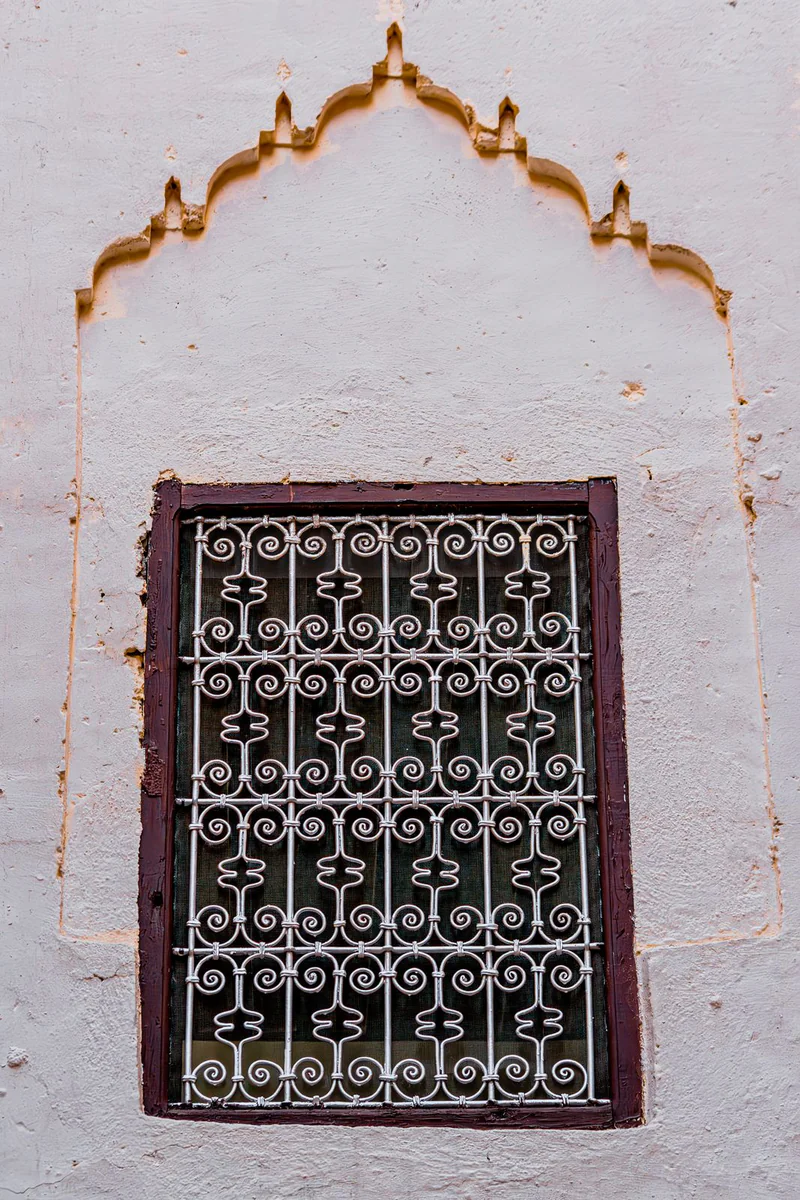 Lattice window grill