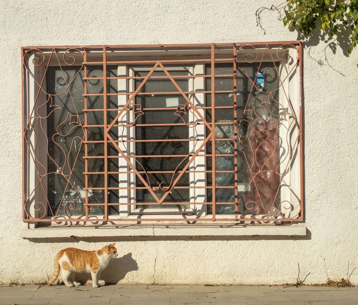 Flat bar window grill