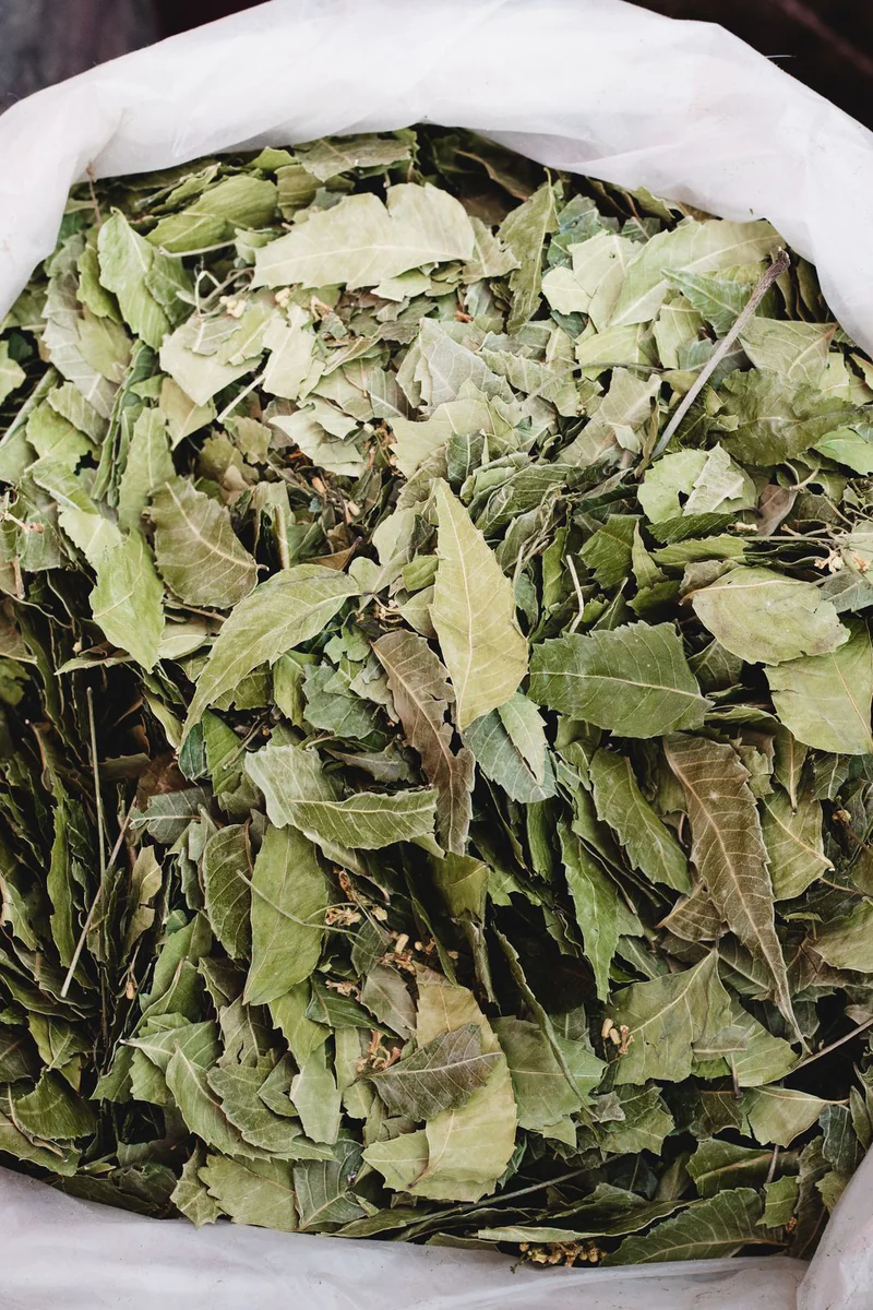 Digestive Herbal Tea 2
