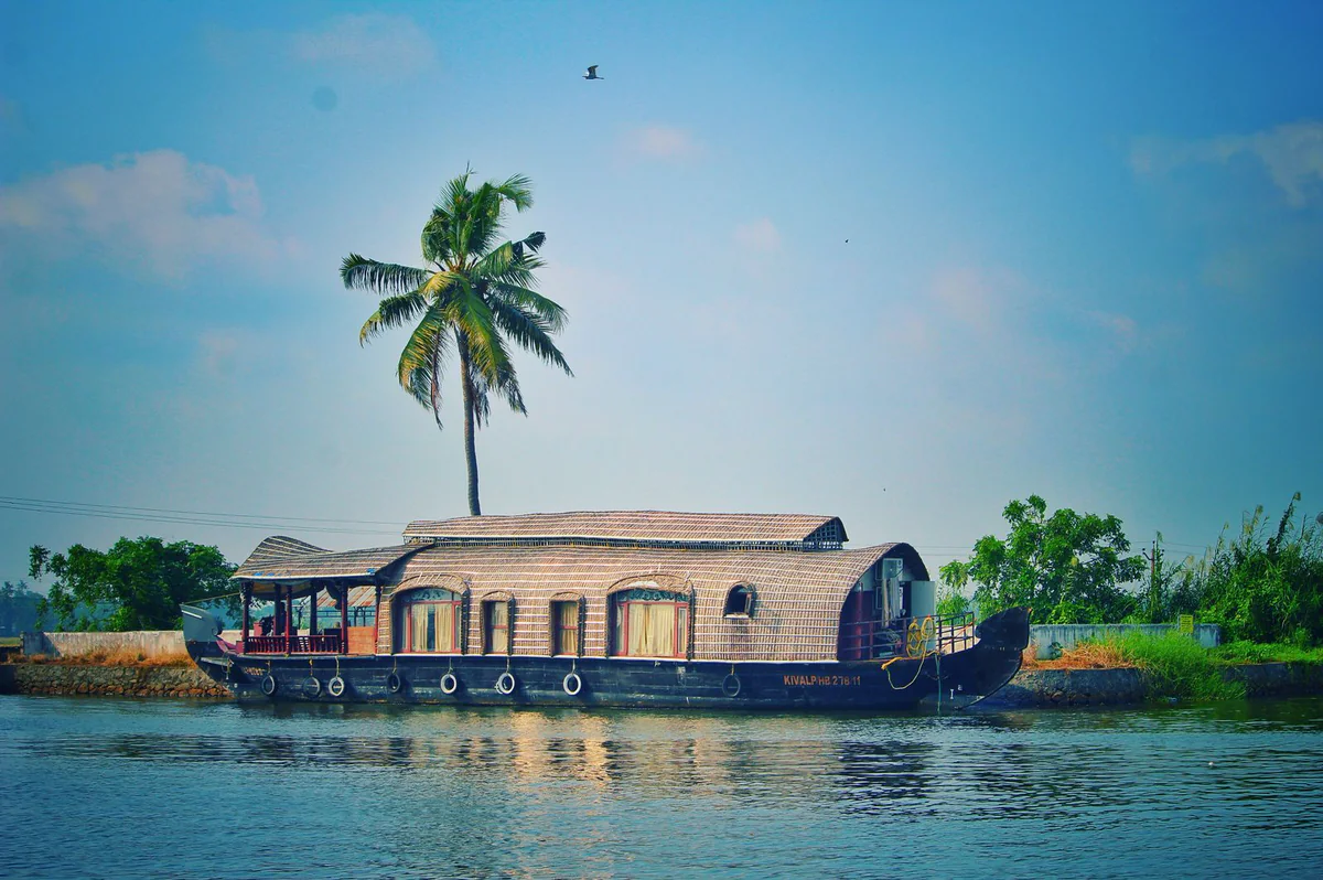 River lined with coconut palms