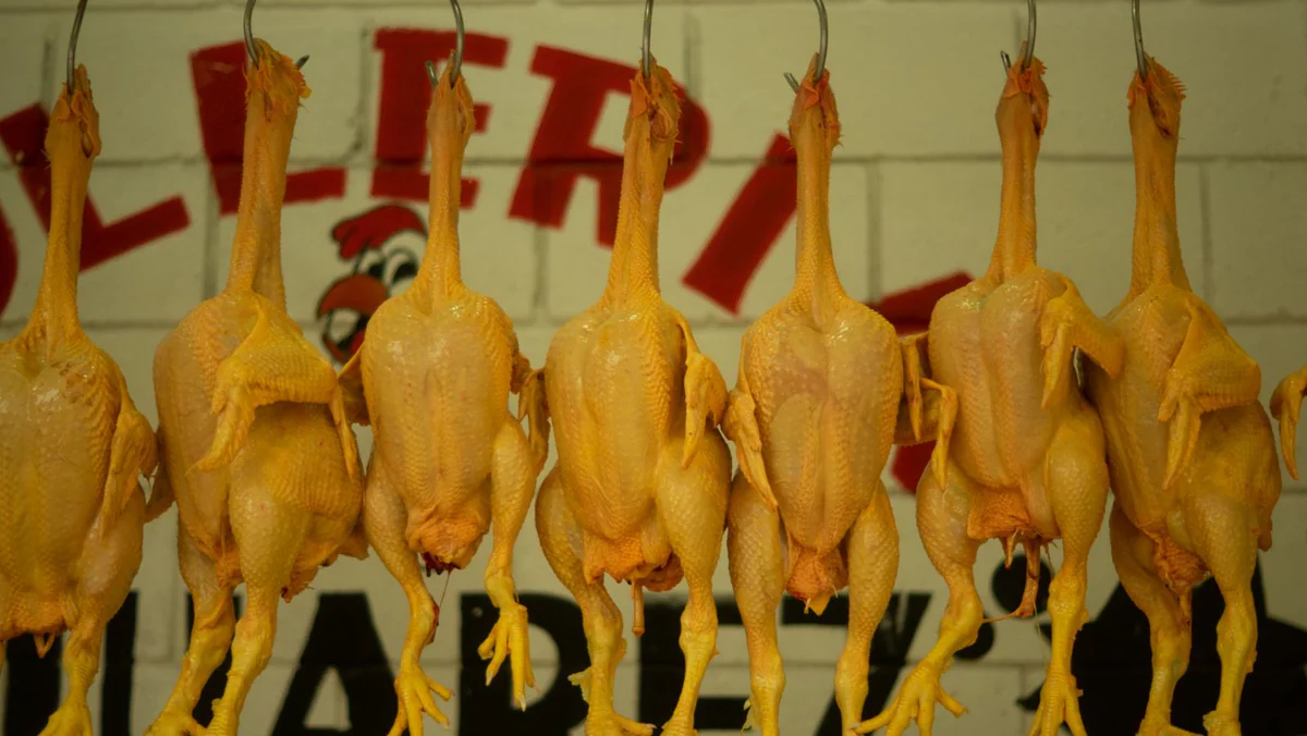 Chicken