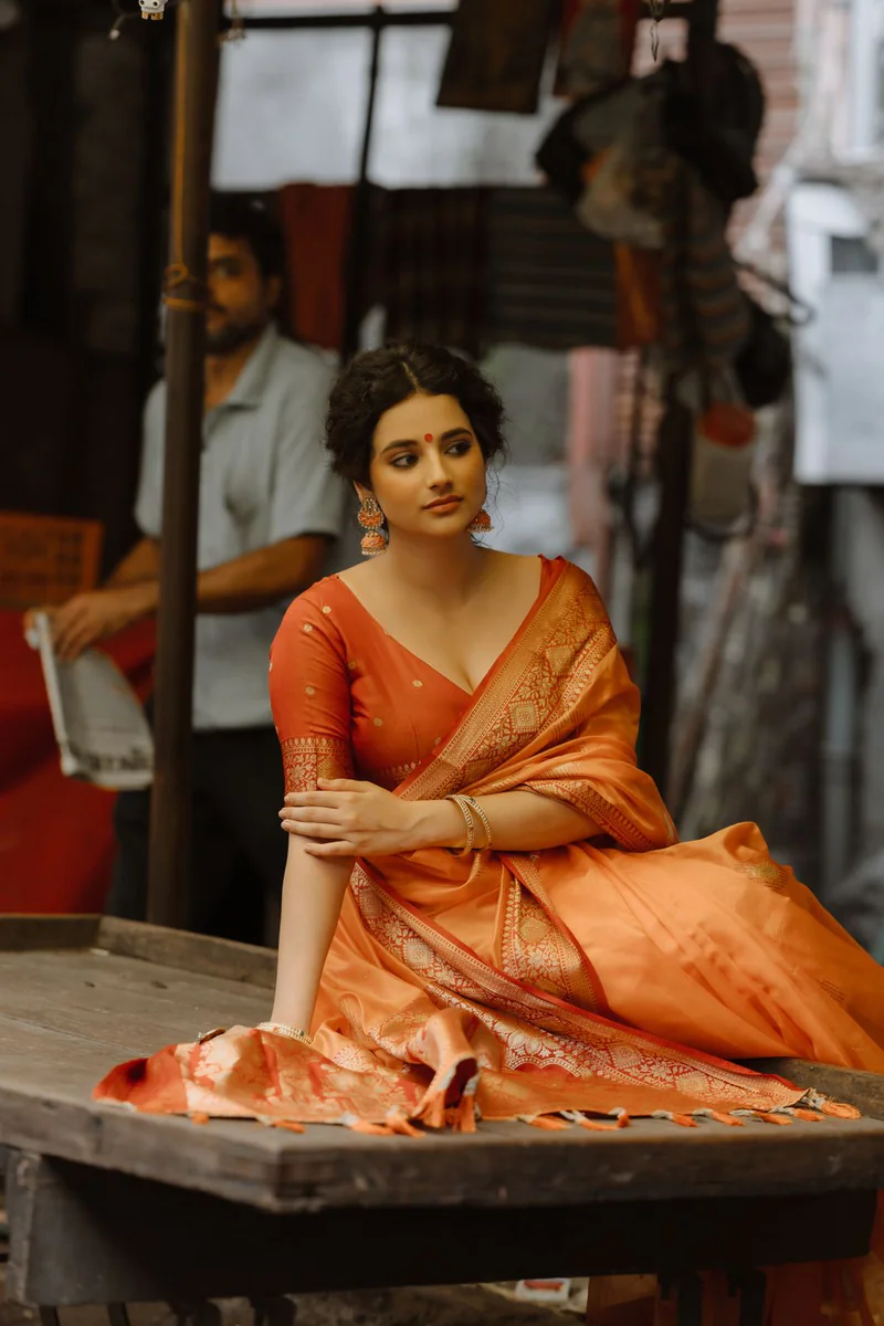 Chanderi silk saree 2