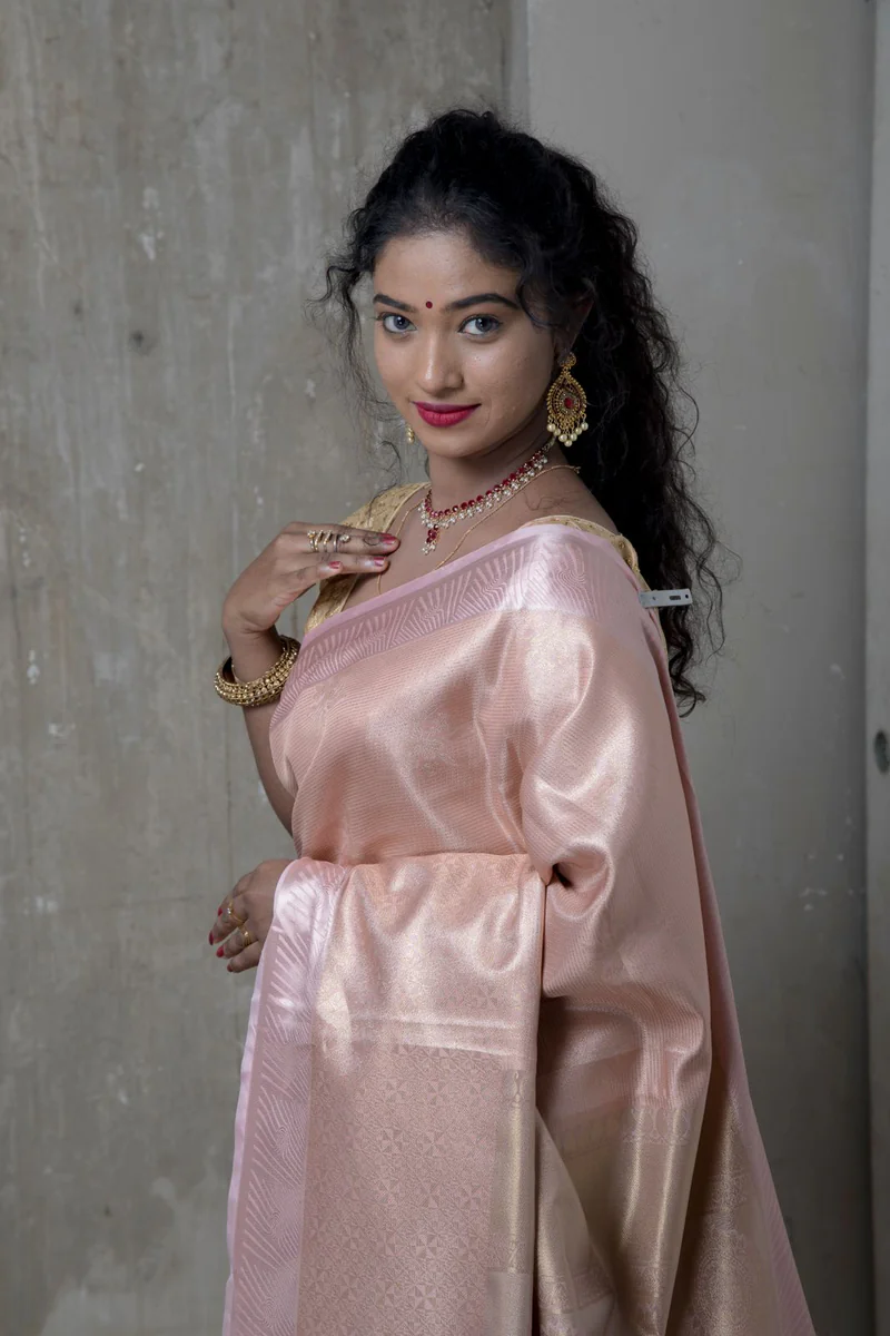 Silk Saree — Pink with Gold Zari 3