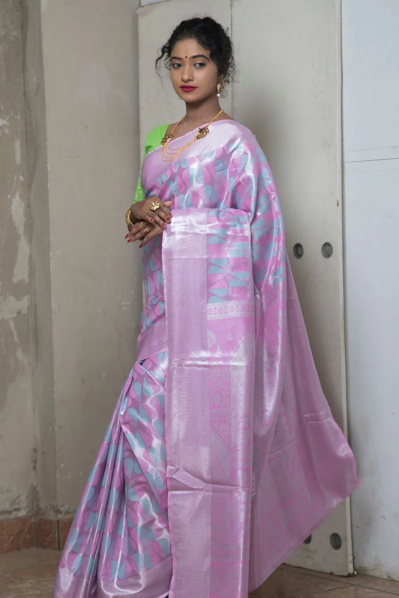 Organza saree 2