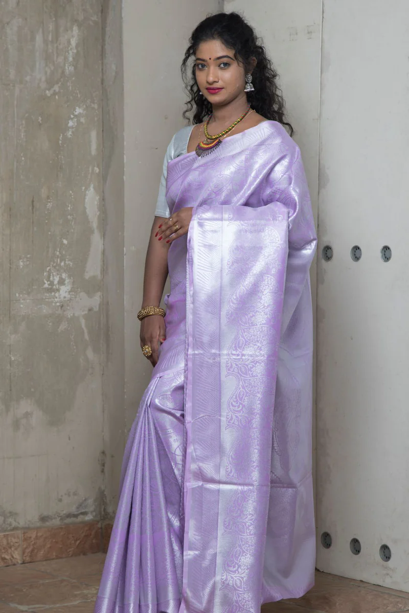 Organza saree