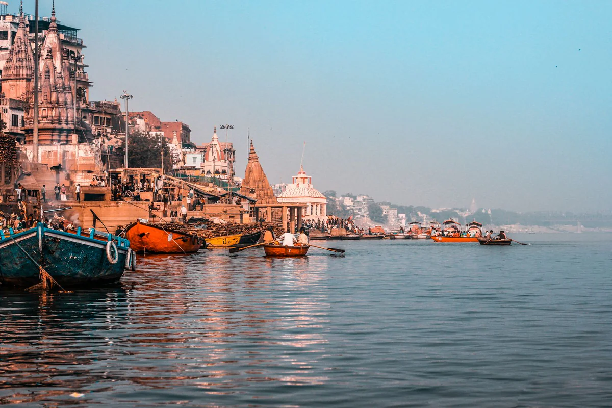 विशेषज्ञता की नींव