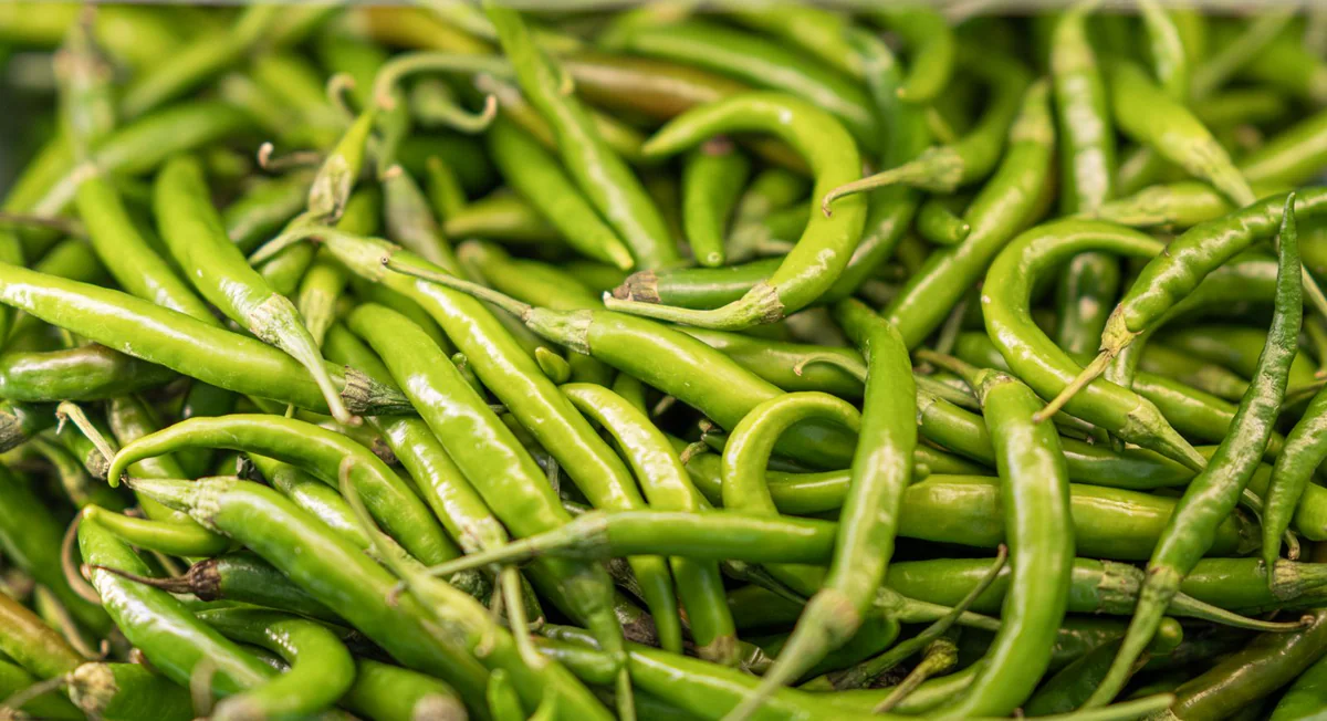 Green Chilli