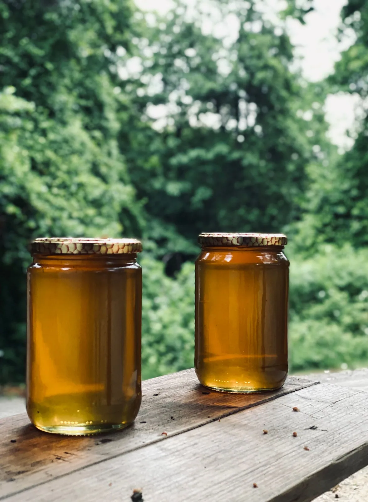 Raw forest honey, 500 g