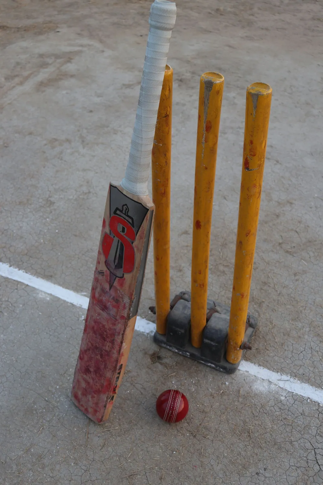 English willow cricket bat
