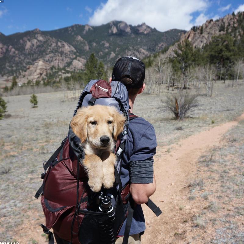 Trail Hiking Backpack 40L 2