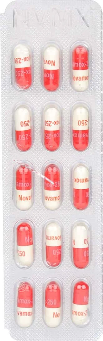 NOVAMOX-250MG CAP 1X15