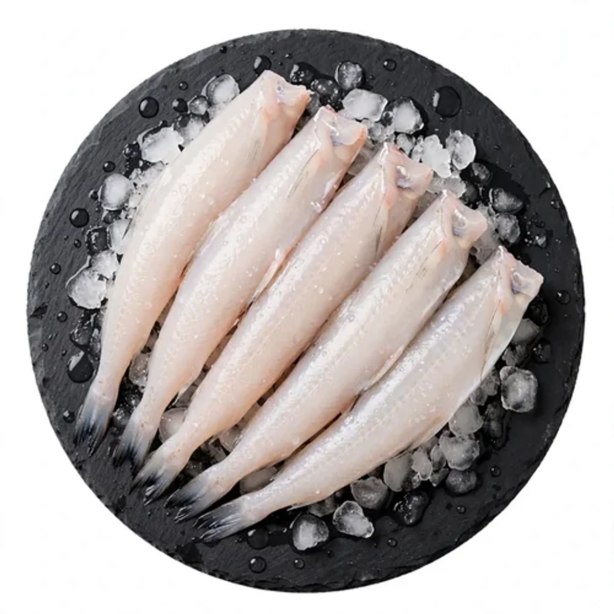 Bombil (Bombay Duck)