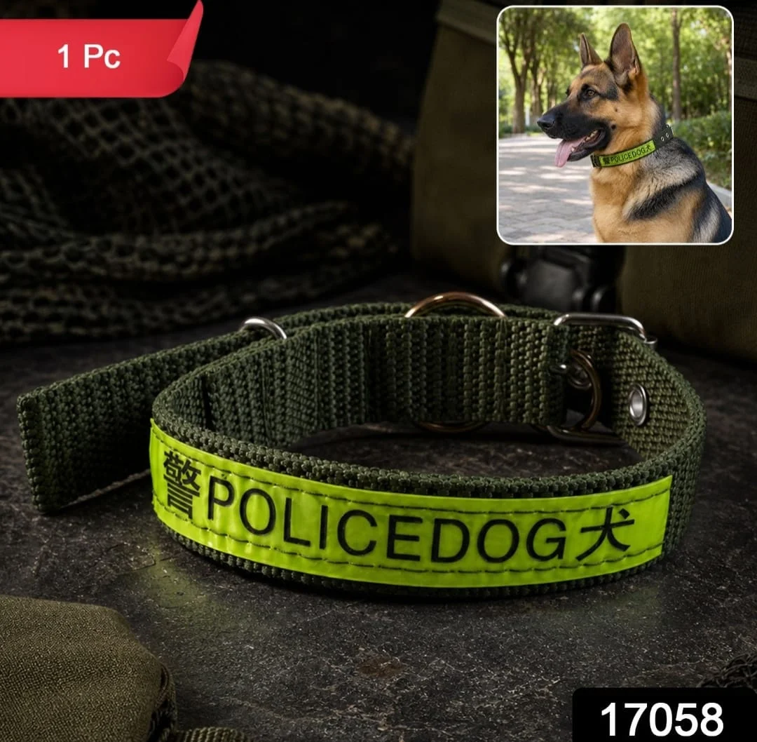 Nylon Dog Collar 5