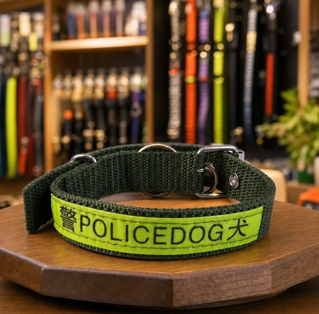 Nylon Dog Collar 6