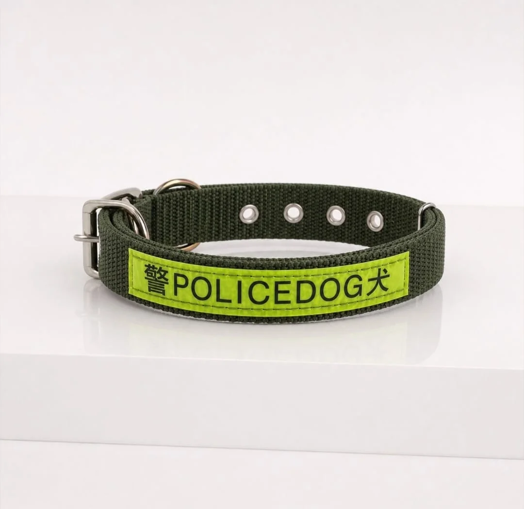 Nylon Dog Collar 2