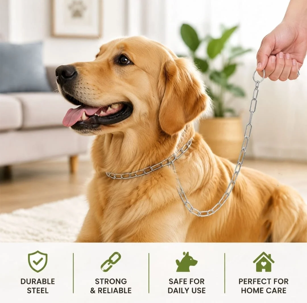 Heavy Duty Dog Chain Leash 67 Inch Stainless Steel 3