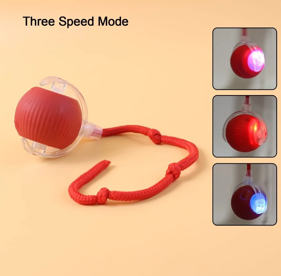 Interactive Cat Toy Ball With Led 4