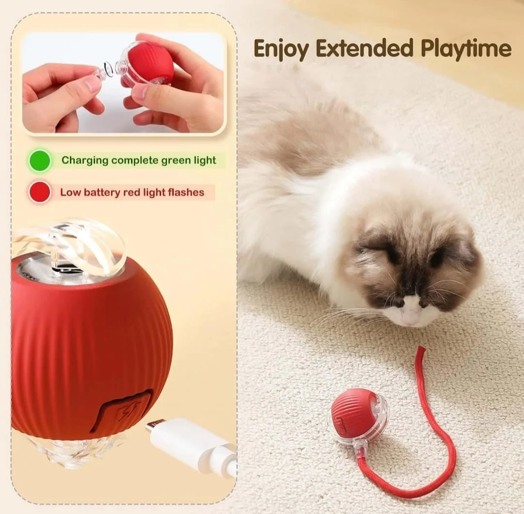 Interactive Cat Toy Ball With Led 2