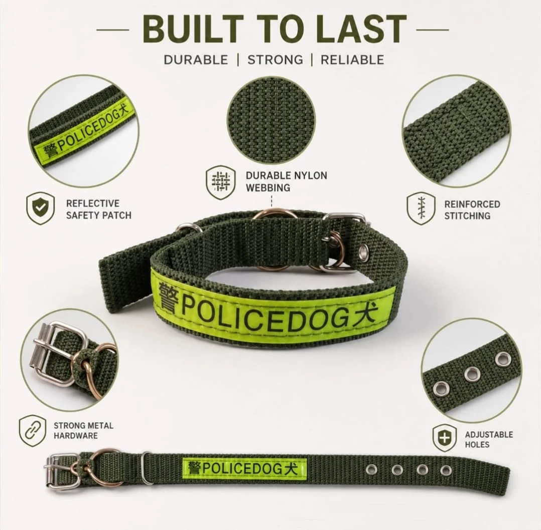 Nylon Dog Collar 4