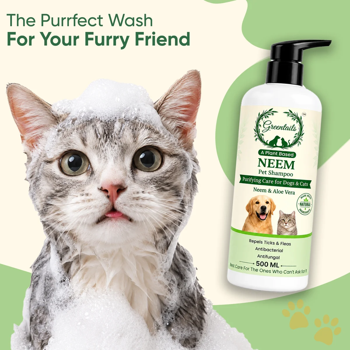 Shampoo with cat
