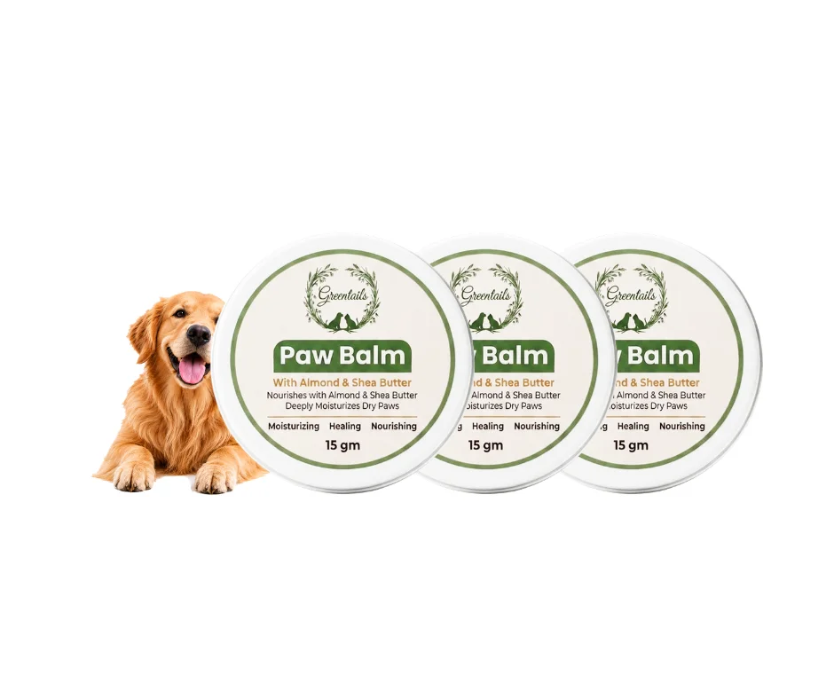 Greentails Natural Paw Balm 15 Gm - Pack Of 3