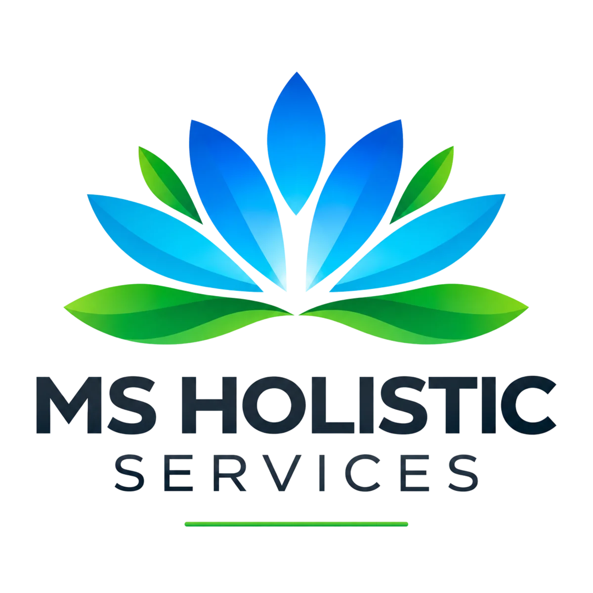 MS Holistic Services