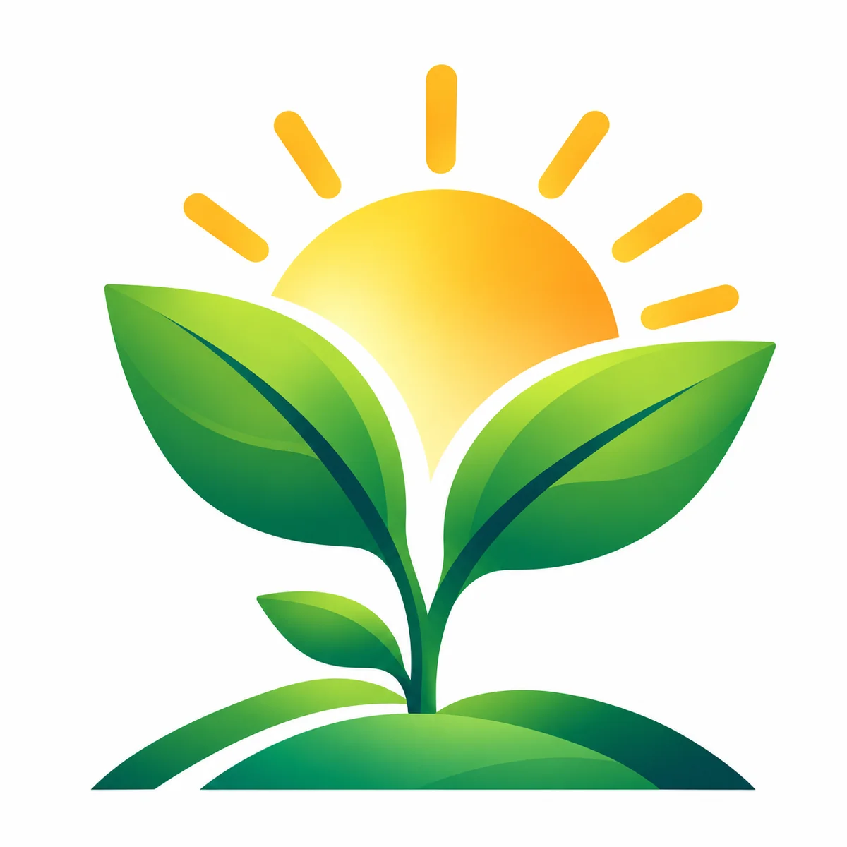 Personal Growth