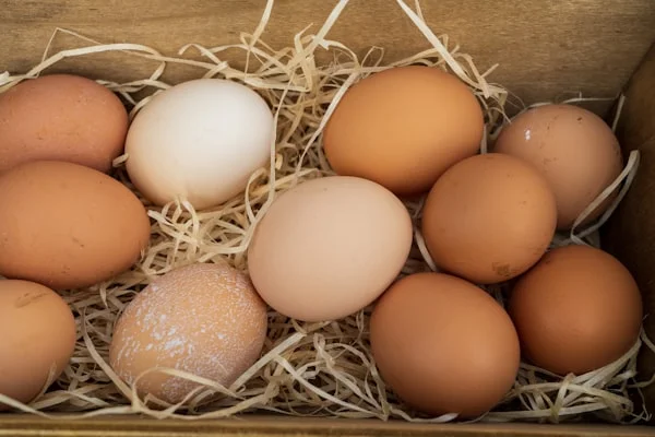 Deshi Eggs