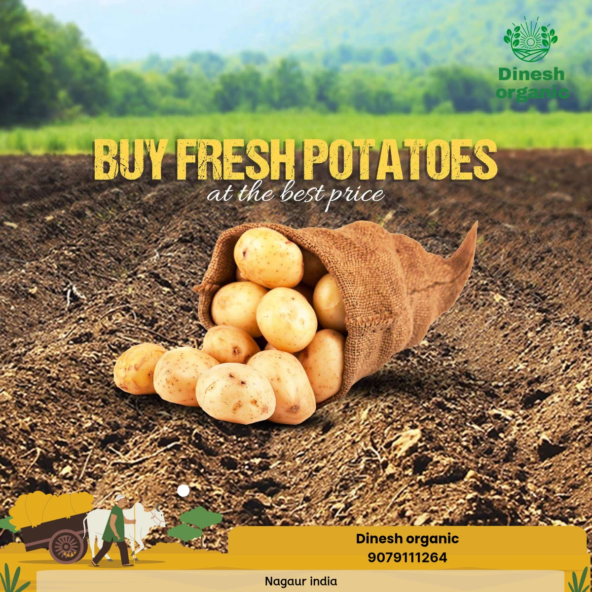 Fresh potato