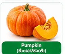 Pumpkin
