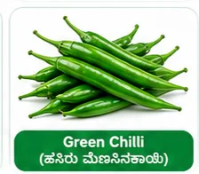 Green Chilli