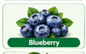 Blueberry