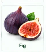 Fig