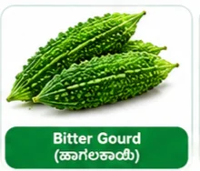 Bitter Gourd