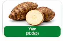 Yam