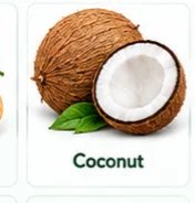Coconut