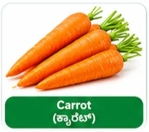 Carrot