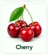 Cherry