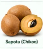 Sapota