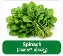Spinach