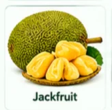 Jackfruit