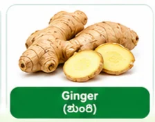 Ginger