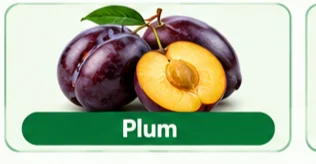 Plum