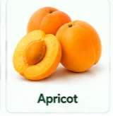 Apricot