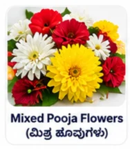Mixed Flower Pack