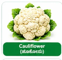 Cauliflower