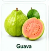Guava