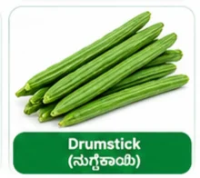 Drumstick