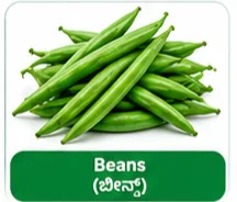 Beans