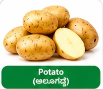 Potato